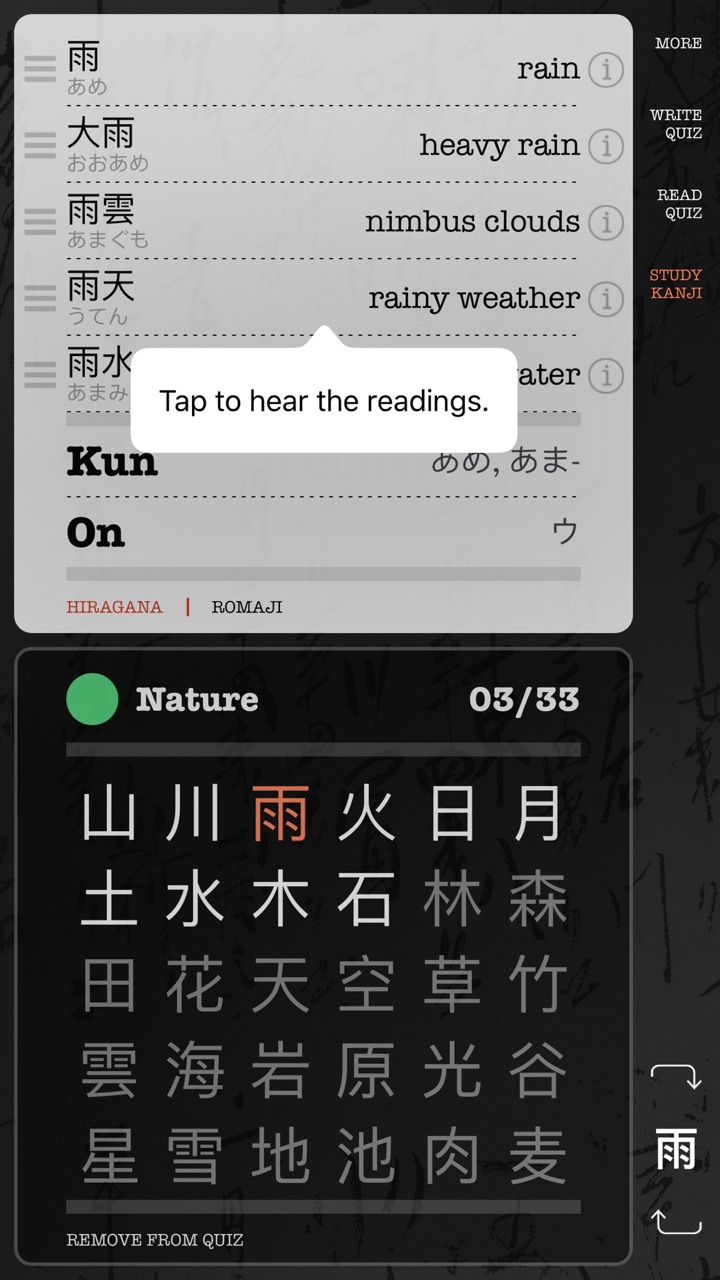 Example words for 雨 with readings, and the Nature lesson’s kanji