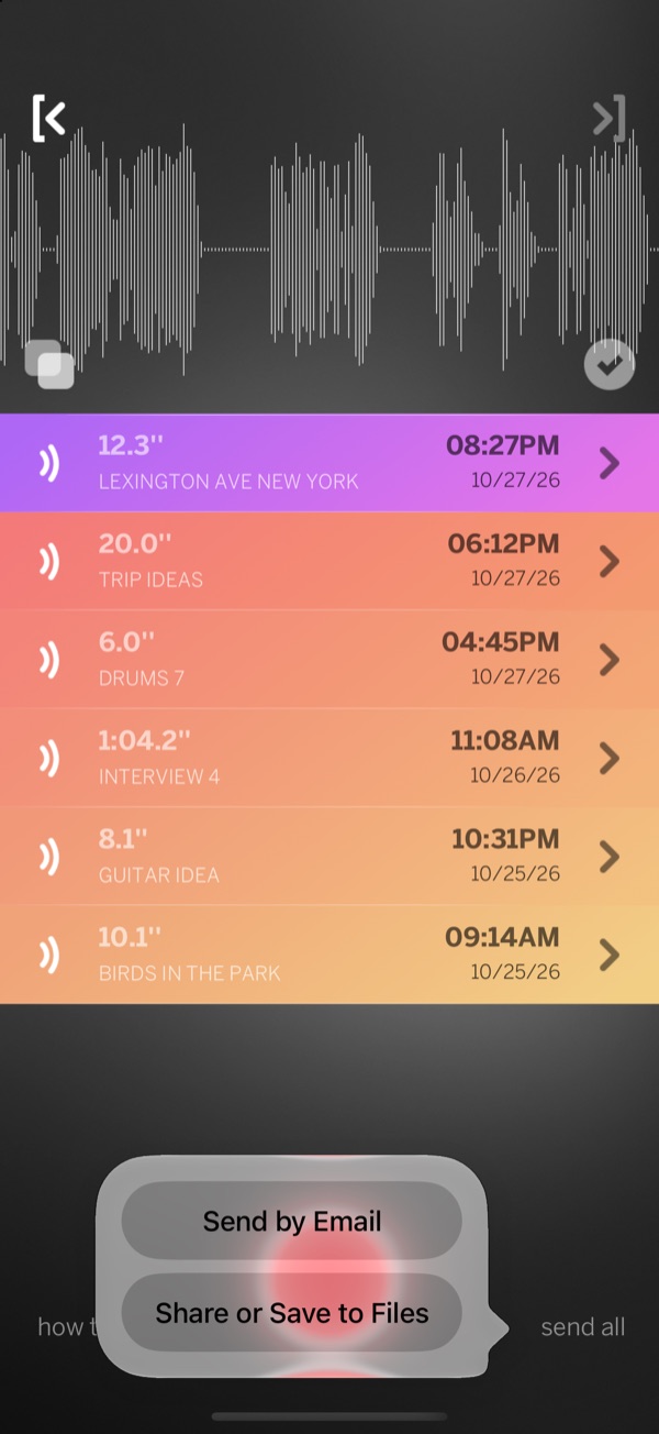 The send all menu with Send by Email and Share or Save to Files